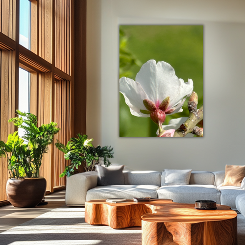 Blossom of Serenity